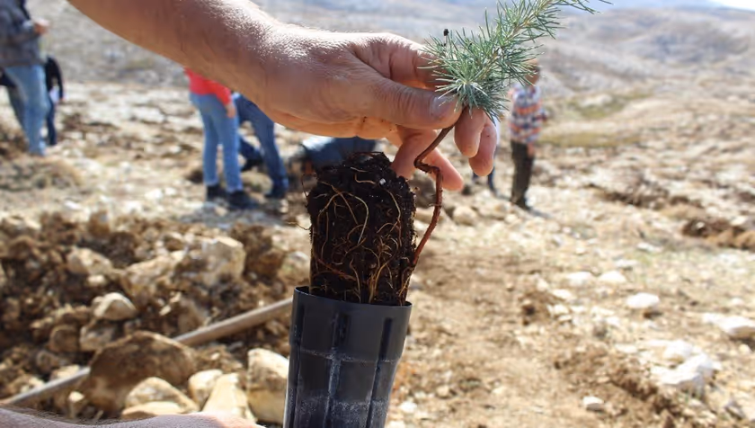 The road to data-driven conservation: Lebanon Reforestation Initiative