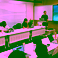 PEOPLE-ECCO and Reef Check Malaysia meet on Coral Triangle Day to co-design tools for coral reef conservation
