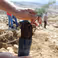 The road to data-driven conservation: Lebanon Reforestation Initiative