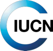 A blue circle with a black background

Description automatically generated
