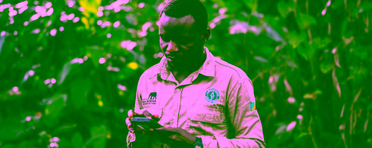 African Parks ranger